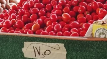 أسعار الخضروات والفاكهة في جنوب سيناء تتراجع اليوم الجمعة 24 أكتوبر 2025 وتؤثر على تكلفة المعيشة